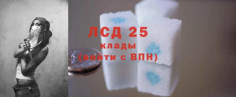 Лсд 25 экстази ecstasy  закладки  Новозыбков 